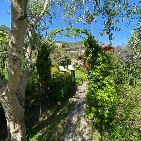 Chalet Lidia Bed & Breakfast Sorrento Exterior photo