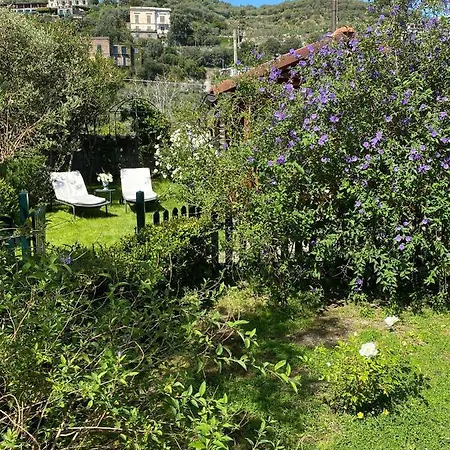 Chalet Lidia Bed & Breakfast Sorrento Exterior photo