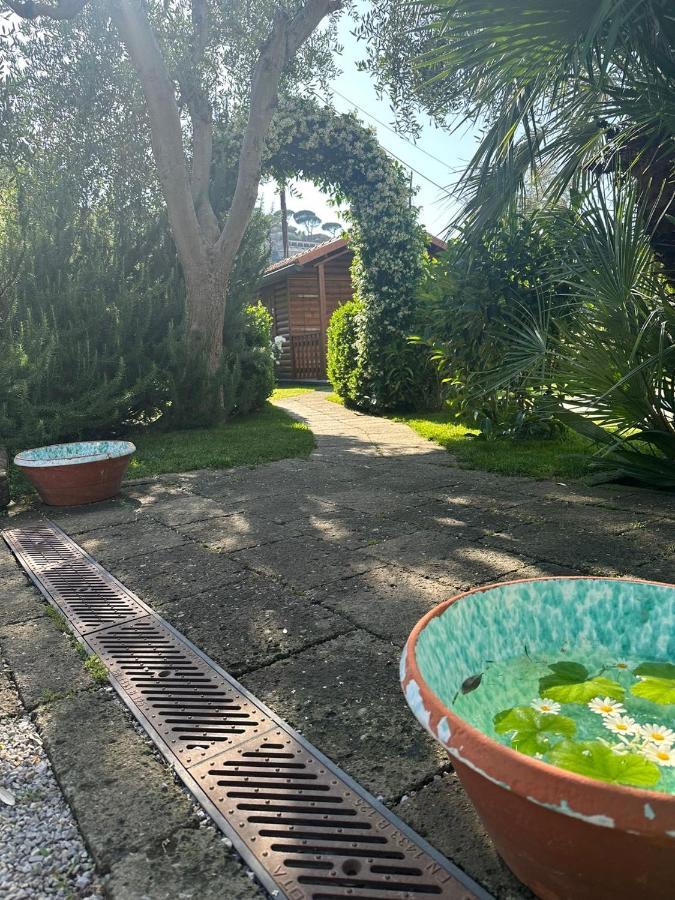 Bed and breakfast Lidia 3*